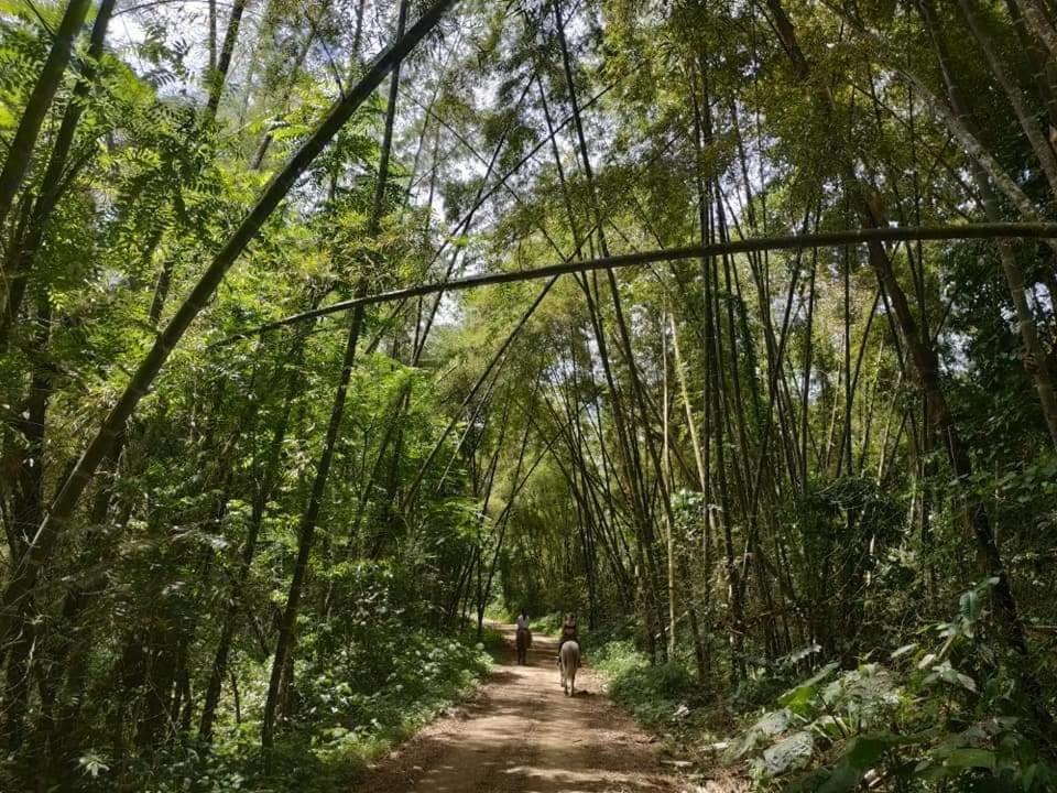 מונטניטה Hotel Sumpa מראה חיצוני תמונה